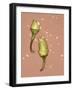 Chili Pepper with Seeds-Alexander Feig-Framed Photographic Print