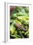 Chili Peppers at Market-Stuart Westmorland-Framed Photographic Print