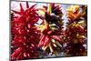 Chili peppers for sale at market, Seattle, Washington, USA-Panoramic Images-Mounted Photographic Print