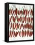 Chili Peppers Lined Up-Dorey Cardinale-Framed Stretched Canvas