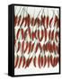 Chili Peppers Lined Up-Dorey Cardinale-Framed Stretched Canvas