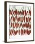 Chili Peppers Lined Up-Dorey Cardinale-Framed Photographic Print