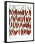 Chili Peppers Lined Up-Dorey Cardinale-Framed Photographic Print