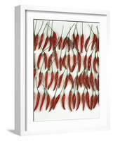 Chili Peppers Lined Up-Dorey Cardinale-Framed Photographic Print