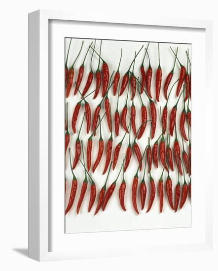 Chili Peppers Lined Up-Dorey Cardinale-Framed Photographic Print