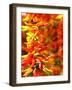 Chili Peppers, Seattle Public Market, Washington, USA-Michele Westmorland-Framed Photographic Print