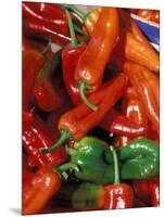 Chili Peppers, Siracusa, Italy-Dave Bartruff-Mounted Photographic Print