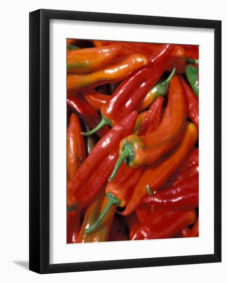 Chili Peppers, Siracusa, Italy-Dave Bartruff-Framed Photographic Print