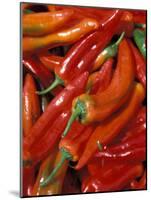Chili Peppers, Siracusa, Italy-Dave Bartruff-Mounted Photographic Print