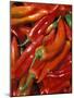 Chili Peppers, Siracusa, Italy-Dave Bartruff-Mounted Photographic Print