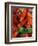 Chili Peppers, Siracusa, Italy-Dave Bartruff-Framed Photographic Print