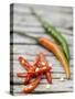 Chili Peppers, Whole and Sliced-Winfried Heinze-Stretched Canvas