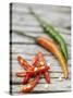 Chili Peppers, Whole and Sliced-Winfried Heinze-Stretched Canvas