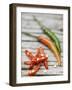 Chili Peppers, Whole and Sliced-Winfried Heinze-Framed Photographic Print