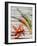 Chili Peppers, Whole and Sliced-Winfried Heinze-Framed Photographic Print