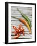 Chili Peppers, Whole and Sliced-Winfried Heinze-Framed Photographic Print