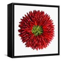 Chili Peppers-null-Framed Stretched Canvas