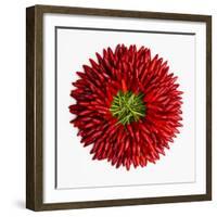 Chili Peppers-null-Framed Photographic Print