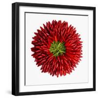 Chili Peppers-null-Framed Photographic Print