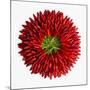 Chili Peppers-null-Mounted Photographic Print