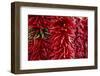 Chili Peppers-Stuart Westmorland-Framed Photographic Print