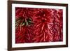 Chili Peppers-Stuart Westmorland-Framed Photographic Print