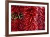 Chili Peppers-Stuart Westmorland-Framed Photographic Print