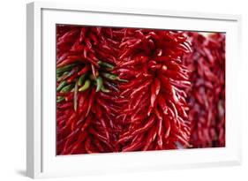 Chili Peppers-Stuart Westmorland-Framed Photographic Print