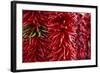 Chili Peppers-Stuart Westmorland-Framed Photographic Print