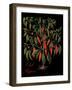 Chili Peppers-Mindy Sommers-Framed Giclee Print