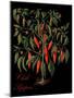 Chili Peppers-Mindy Sommers-Mounted Giclee Print