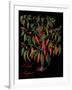 Chili Peppers-Mindy Sommers-Framed Giclee Print