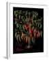 Chili Peppers-Mindy Sommers-Framed Giclee Print