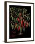 Chili Peppers-Mindy Sommers-Framed Giclee Print