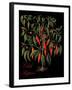 Chili Peppers-Mindy Sommers-Framed Giclee Print