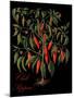 Chili Peppers-Mindy Sommers-Mounted Giclee Print