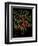 Chili Peppers-Mindy Sommers-Framed Giclee Print