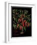 Chili Peppers-Mindy Sommers-Framed Giclee Print