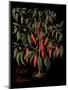 Chili Peppers-Mindy Sommers-Mounted Giclee Print