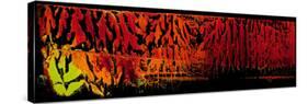 chili PepperZ-Pamela Nielsen-Stretched Canvas