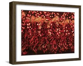 Chili Ristra, Santa Fe, New Mexico, USA-Julian McRoberts-Framed Premium Photographic Print