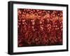 Chili Ristra, Santa Fe, New Mexico, USA-Julian McRoberts-Framed Photographic Print