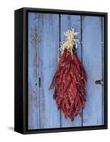 Chili Ristra, Santa Fe, New Mexico, USA-Julian McRoberts-Framed Stretched Canvas