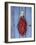 Chili Ristra, Santa Fe, New Mexico, USA-Julian McRoberts-Framed Photographic Print