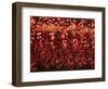 Chili Ristra, Santa Fe, New Mexico, USA-Julian McRoberts-Framed Photographic Print