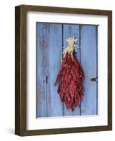 Chili Ristra, Santa Fe, New Mexico, USA-Julian McRoberts-Framed Photographic Print