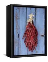 Chili Ristra, Santa Fe, New Mexico, USA-Julian McRoberts-Framed Stretched Canvas