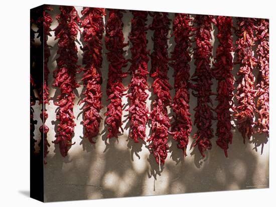 Chili Ristras, Chimayo, New Mexico, USA-Michael Snell-Stretched Canvas