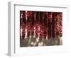 Chili Ristras, Chimayo, New Mexico, USA-Michael Snell-Framed Photographic Print