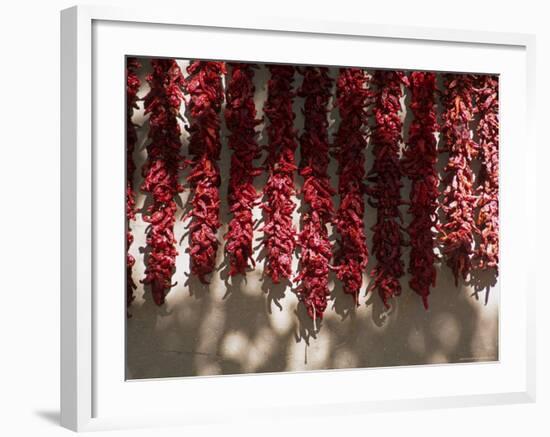 Chili Ristras, Chimayo, New Mexico, USA-Michael Snell-Framed Photographic Print